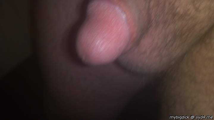 Adult image from mybigdick