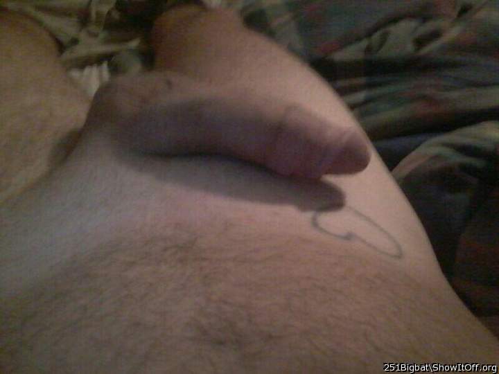 Adult image from 251bigbat