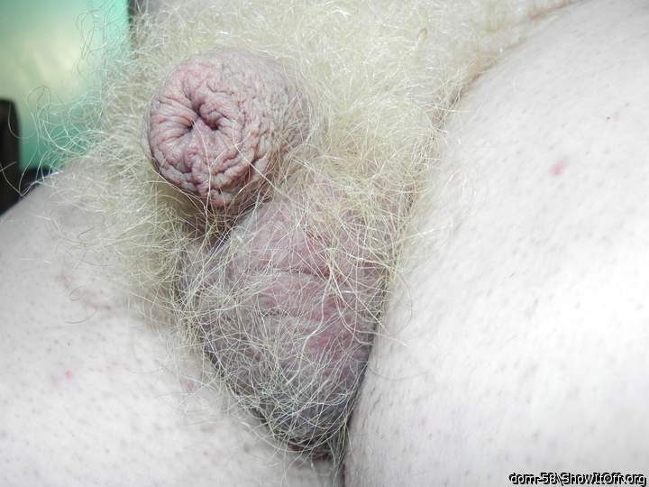 Adult image from dom-58