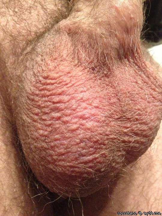 Adult image from roccotano