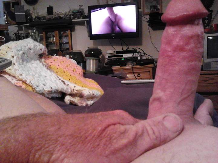 Adult image from fish4free