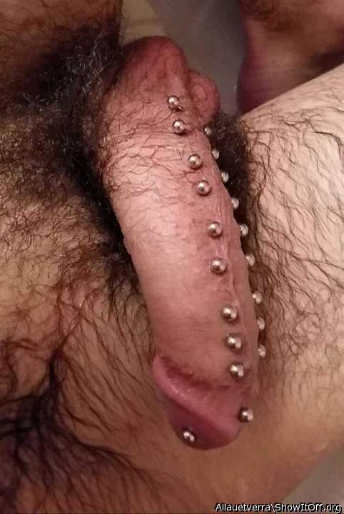 Adult image from Allauetverra
