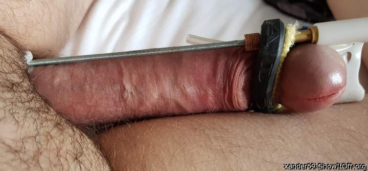 Adult image from xander69