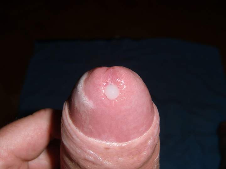 Adult image from smallfined