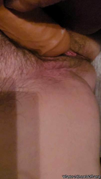 Adult image from Wfastru