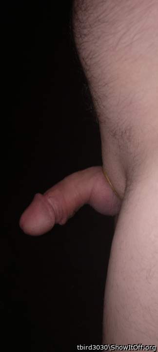 Adult image from tbird3030