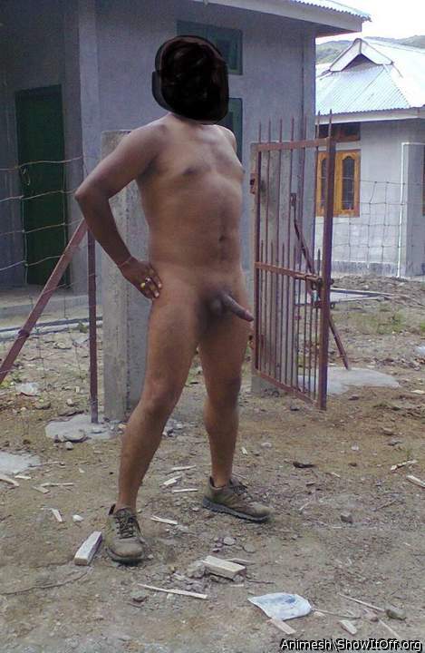Adult image from Animesh