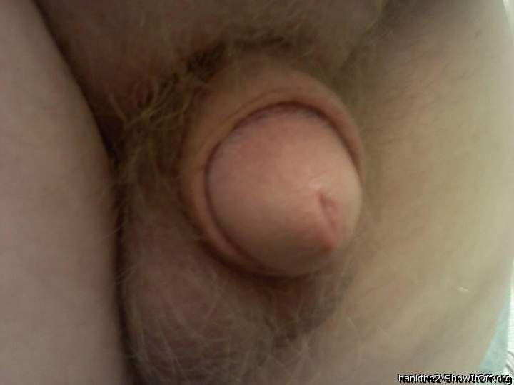Adult image from hankthe2