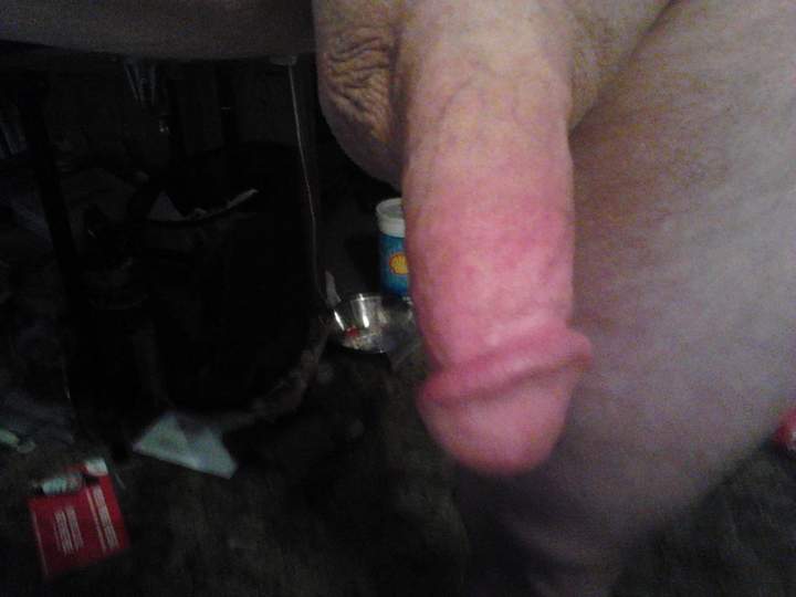 Adult image from fish4free