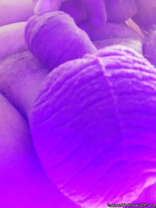 Adult image from Tnelson88