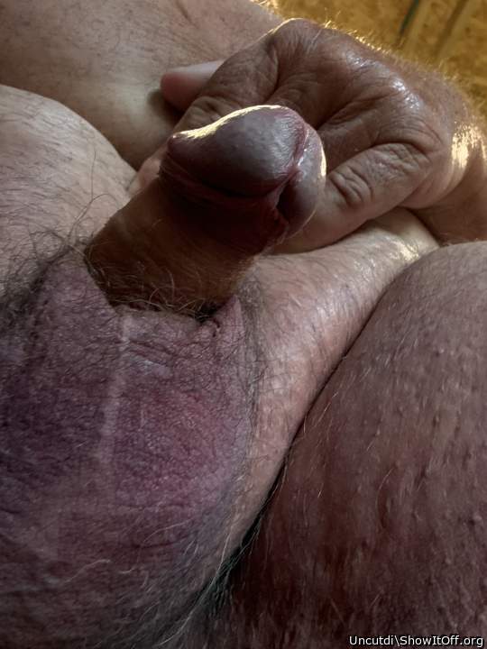 Adult image from Uncutdi