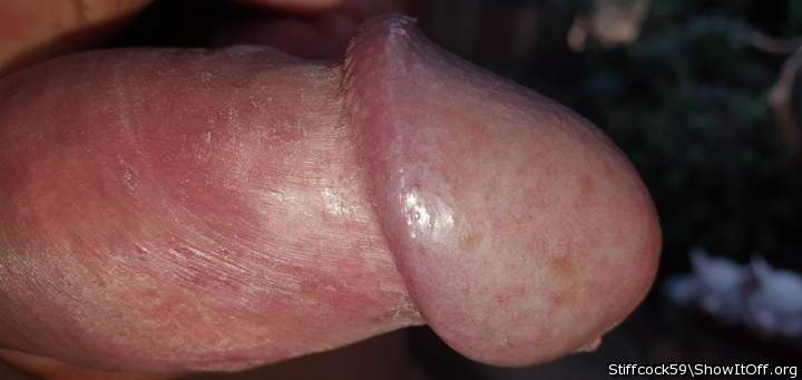 Adult image from Stiffcock59