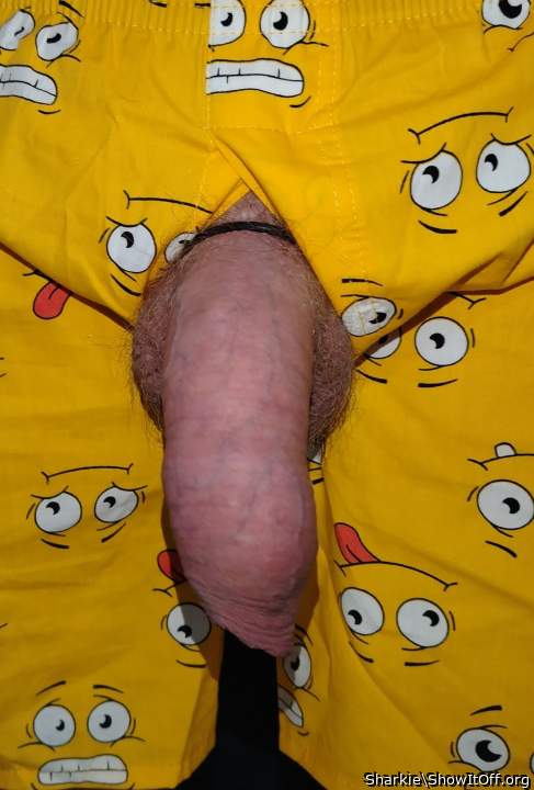 Adult image from Sharkie