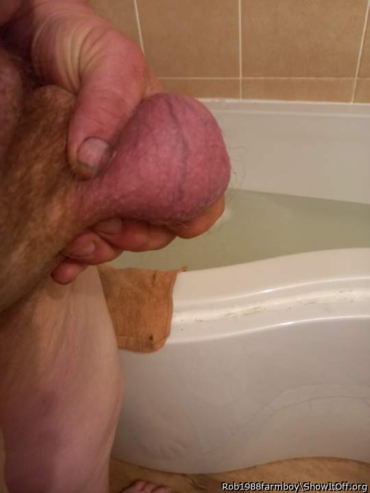 Adult image from Rob1988farmboy