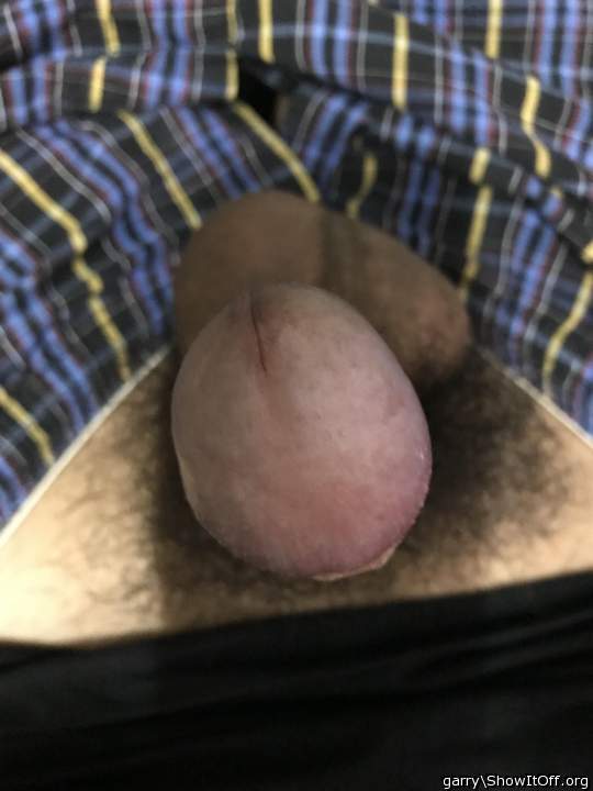 Adult image from Garry