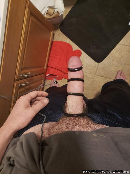 Adult image from TOMACE42069