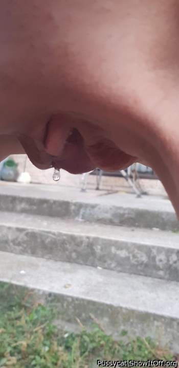 My pussy
