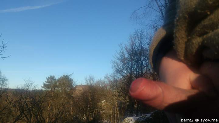 Adult image from Bernt2