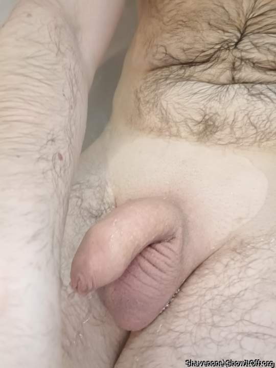 So cute resting from fresh shave!  
