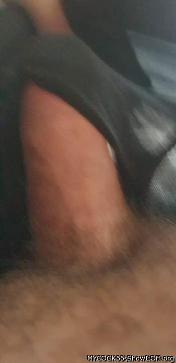 Adult image from MYCOCK66