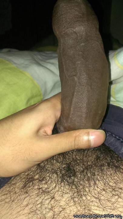Adult image from nicedices