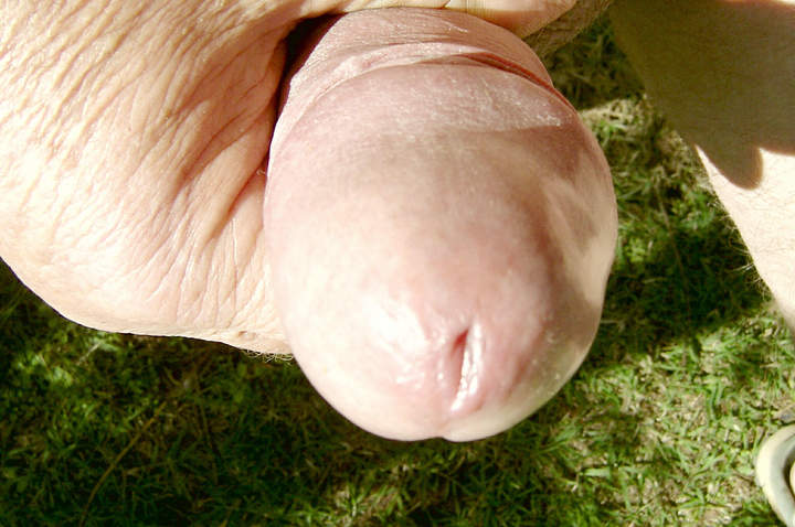 Adult image from cuddles1
