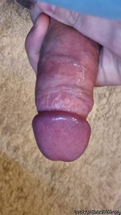 Adult image from Drucker