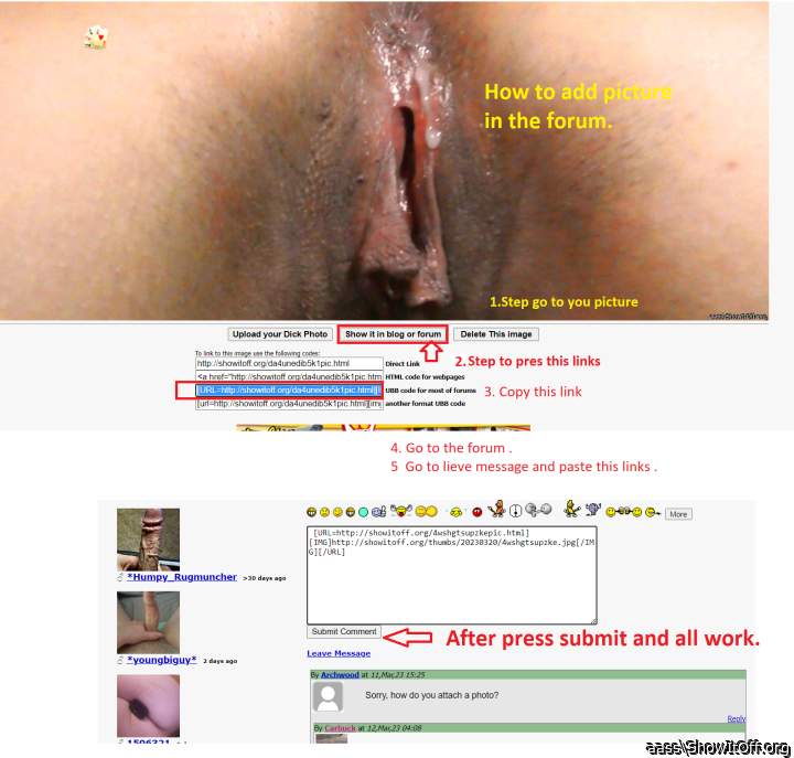 Adult image from aass