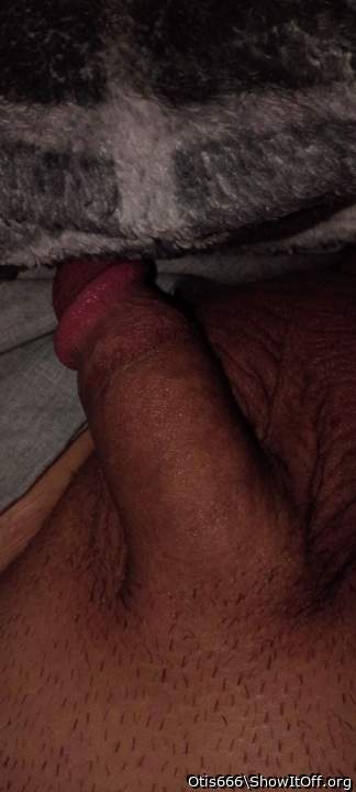 Adult image from Otis666
