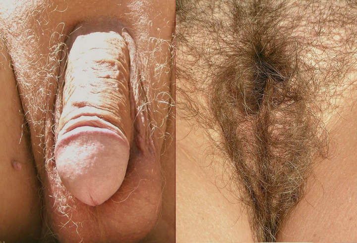 Adult image from somna54