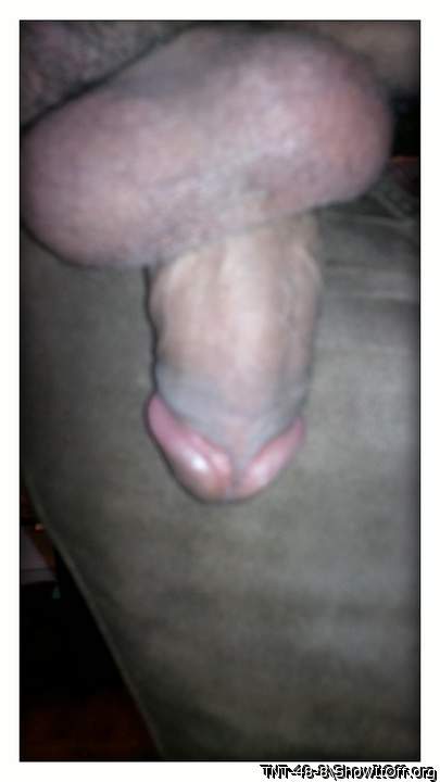 Adult image from TNT-48-8