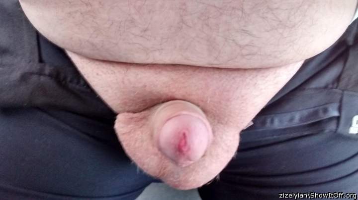 Adult image from zizelyian