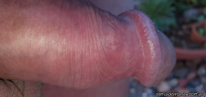 Adult image from Stiffcock59