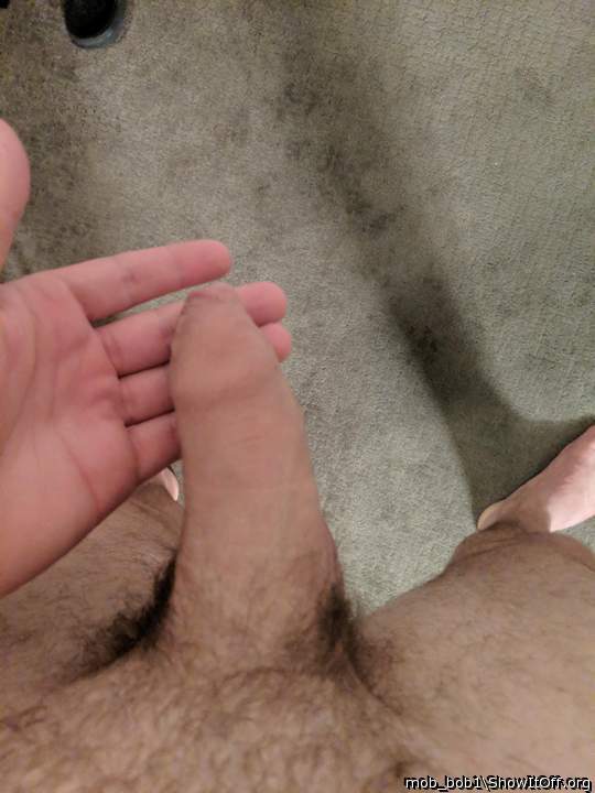Adult image from mob_bob1