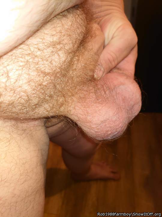 Adult image from Rob1988farmboy