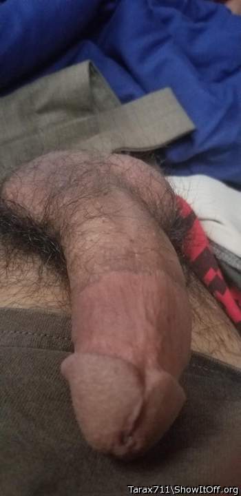Adult image from Tarax711
