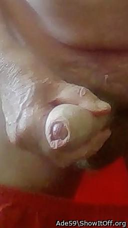 Adult image from Ade59