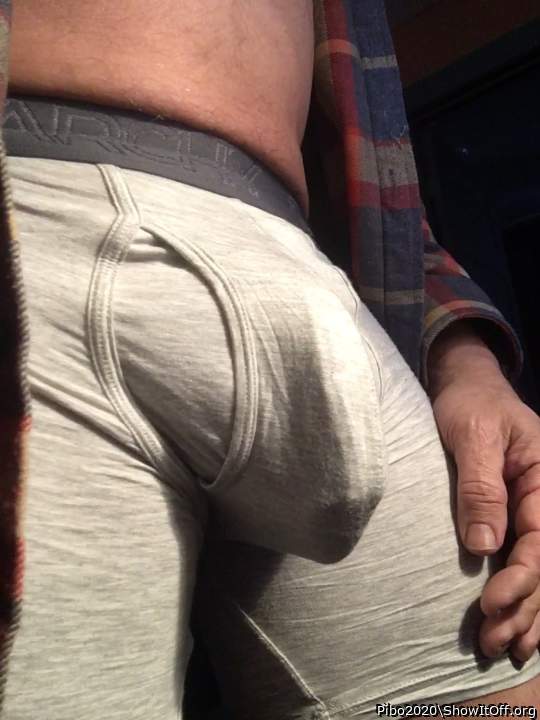 Adult image from Pibo2020