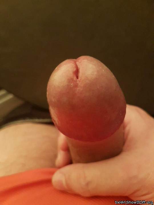 Adult image from tixHH