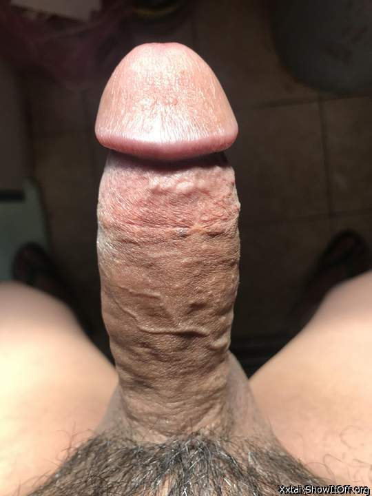 Adult image from Xxtai