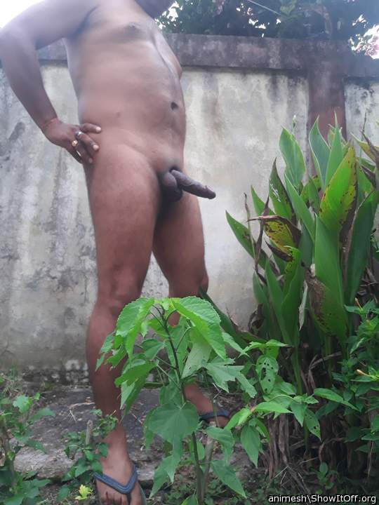 Adult image from Animesh