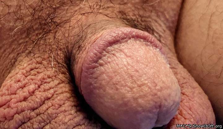 Adult image from M*C*S