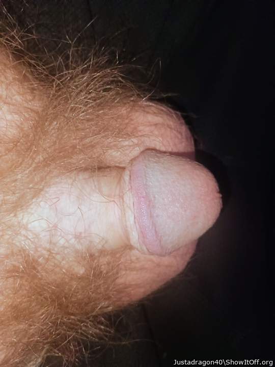 Adult image from Justadragon40