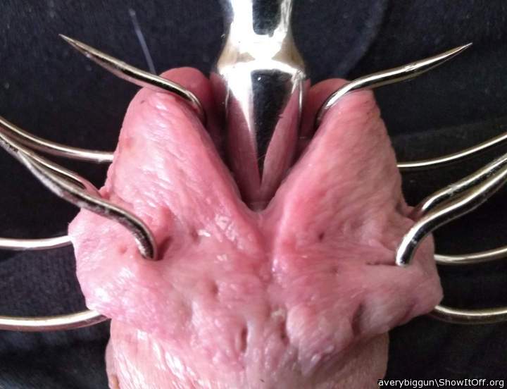 Spread Head
