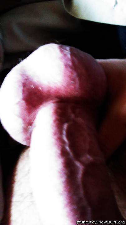 Adult image from ptuncutx