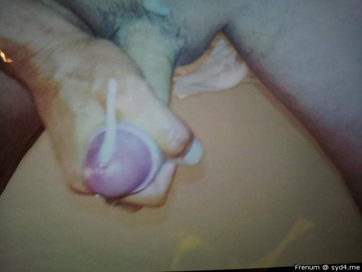 Adult image from Frenum