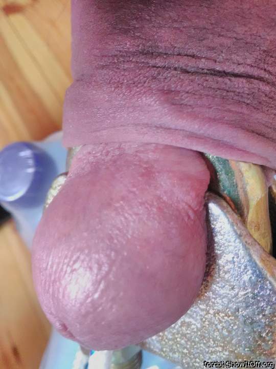 Adult image from forcbt