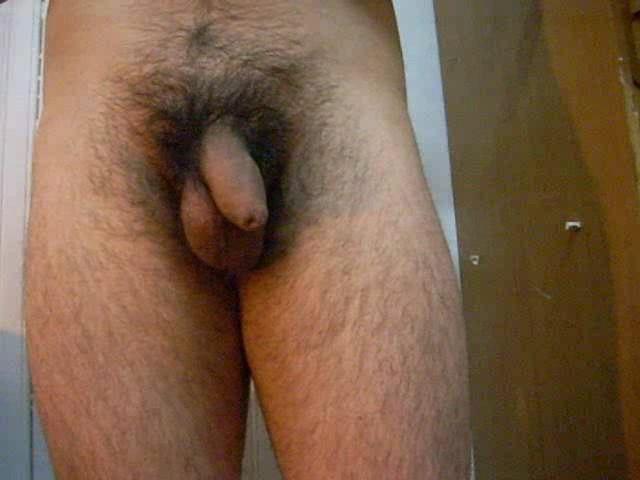 Adult image from chilenito_thno