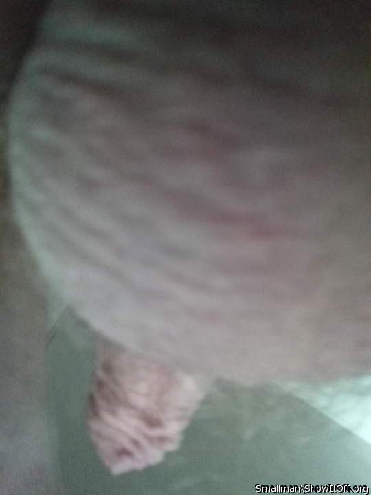 Adult image from Smallman