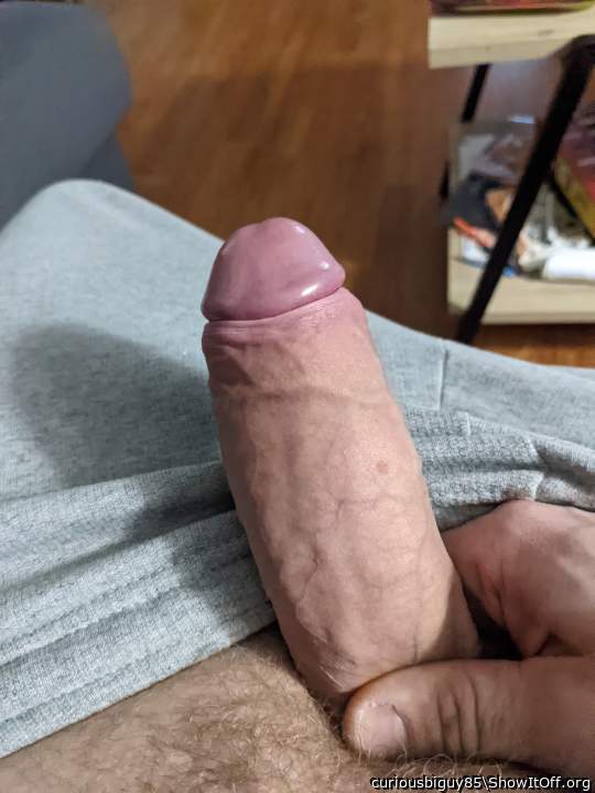 Adult image from curiousbiguy85